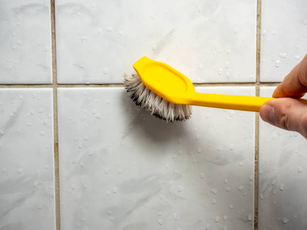 Best Mold Remediation for Schools in Collierville, TN