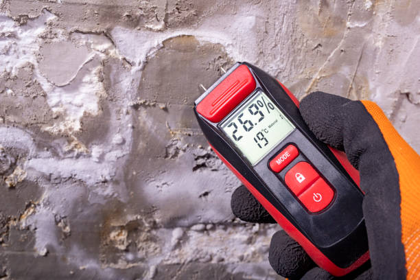 Best Residential Mold Remediation in Collierville, TN